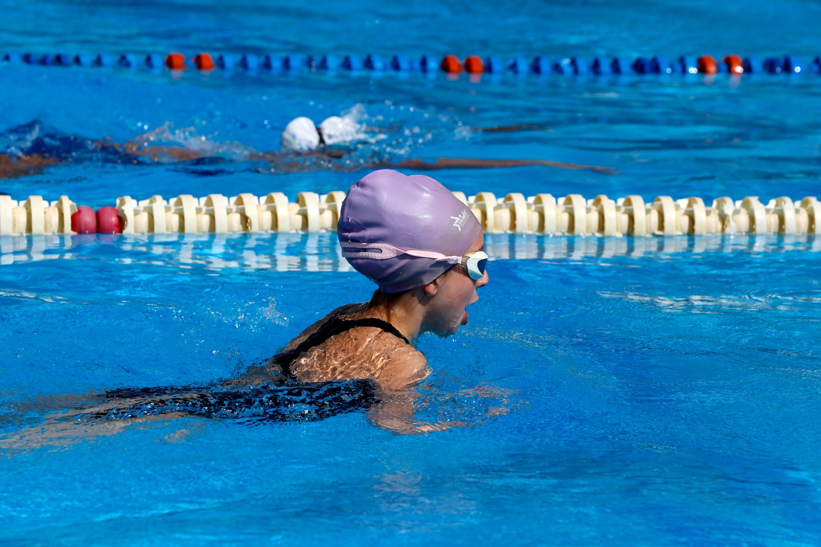 https://www.festivaldefestivales.com/wp-content/uploads/2023/08/convocatoria-babynatacion-2024-festival-de-festivales.jpeg