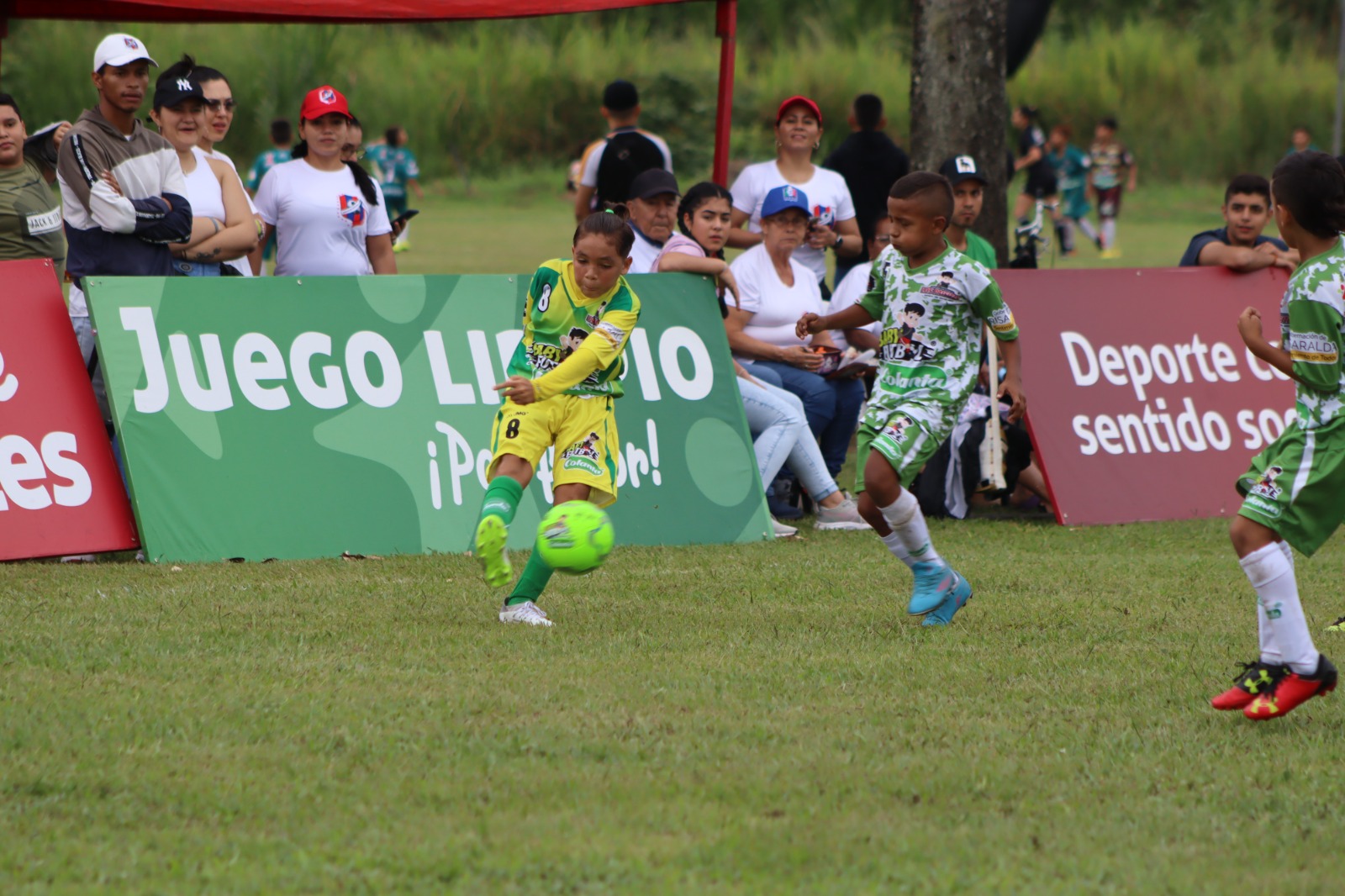 debut-babyfútbol-colanta-la-virginia-2023-2024