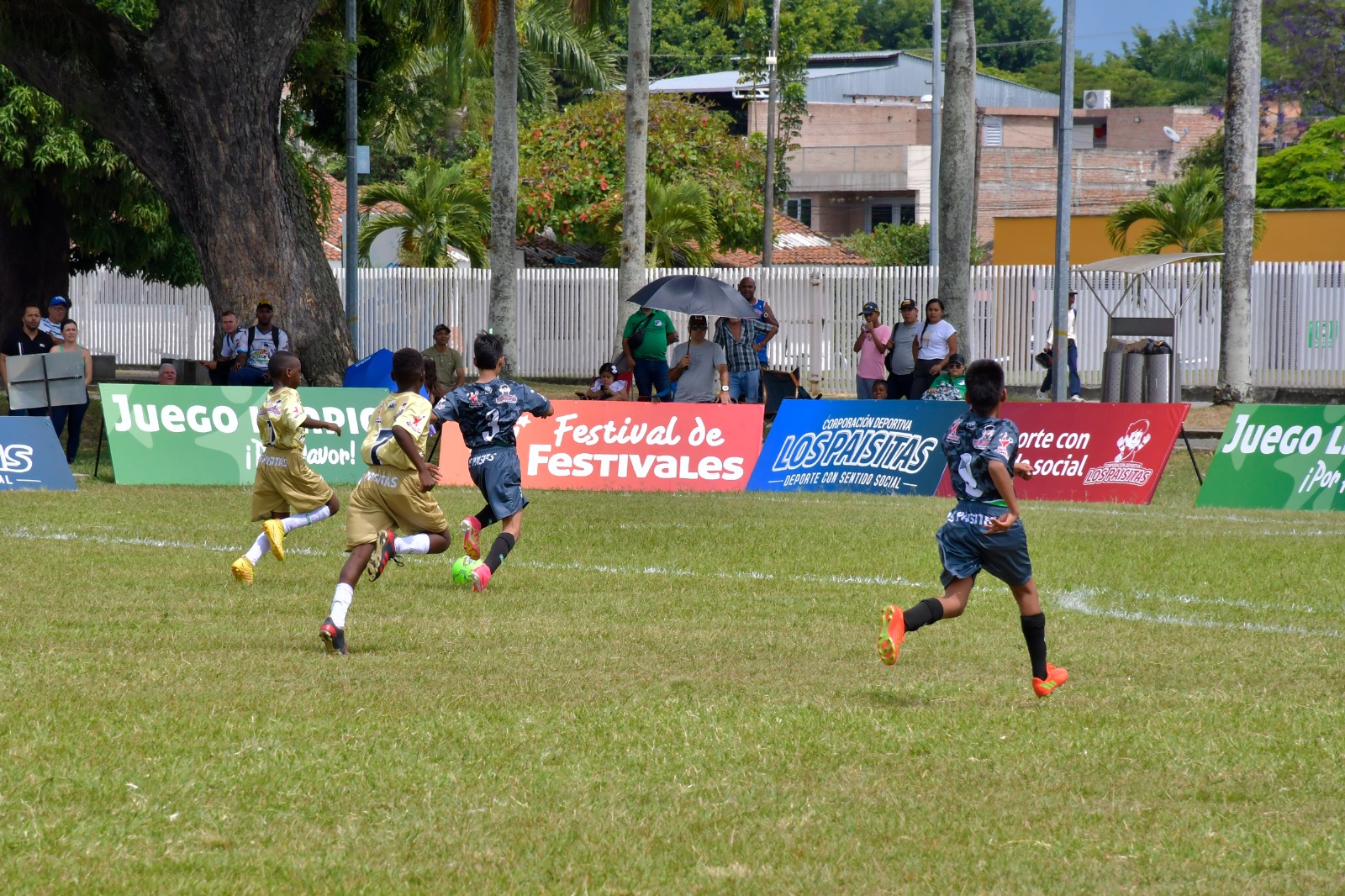 Ya todos los equipos debutaron en Palmira