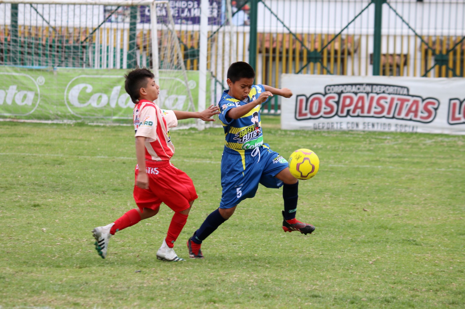 octavos-de-final-tocancipa-babyfutbolcolanta-2023-2024