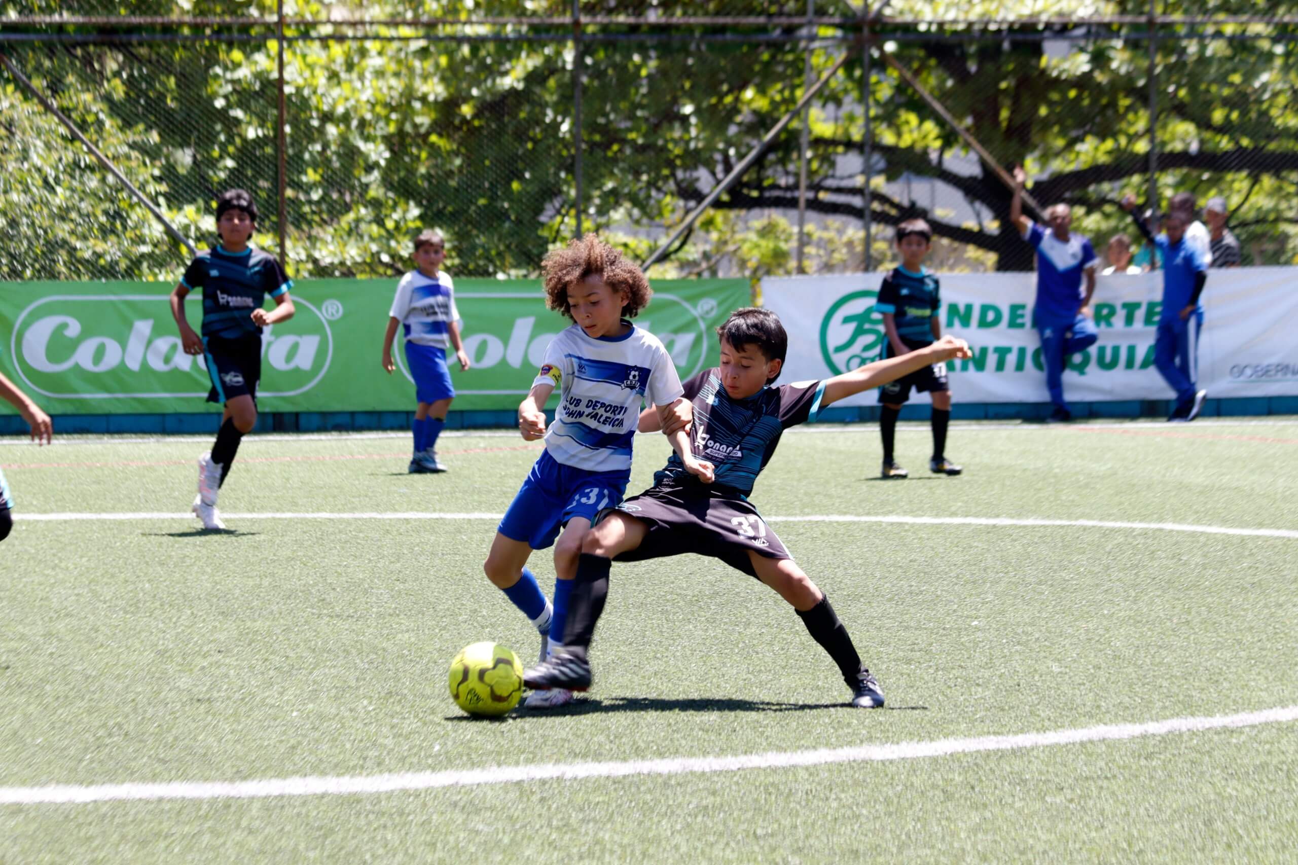 https://www.festivaldefestivales.com/wp-content/uploads/2024/05/21-equipos-clasificaron-al-preselectivo-babyfutbol-colanta-2024-2025.jpeg
