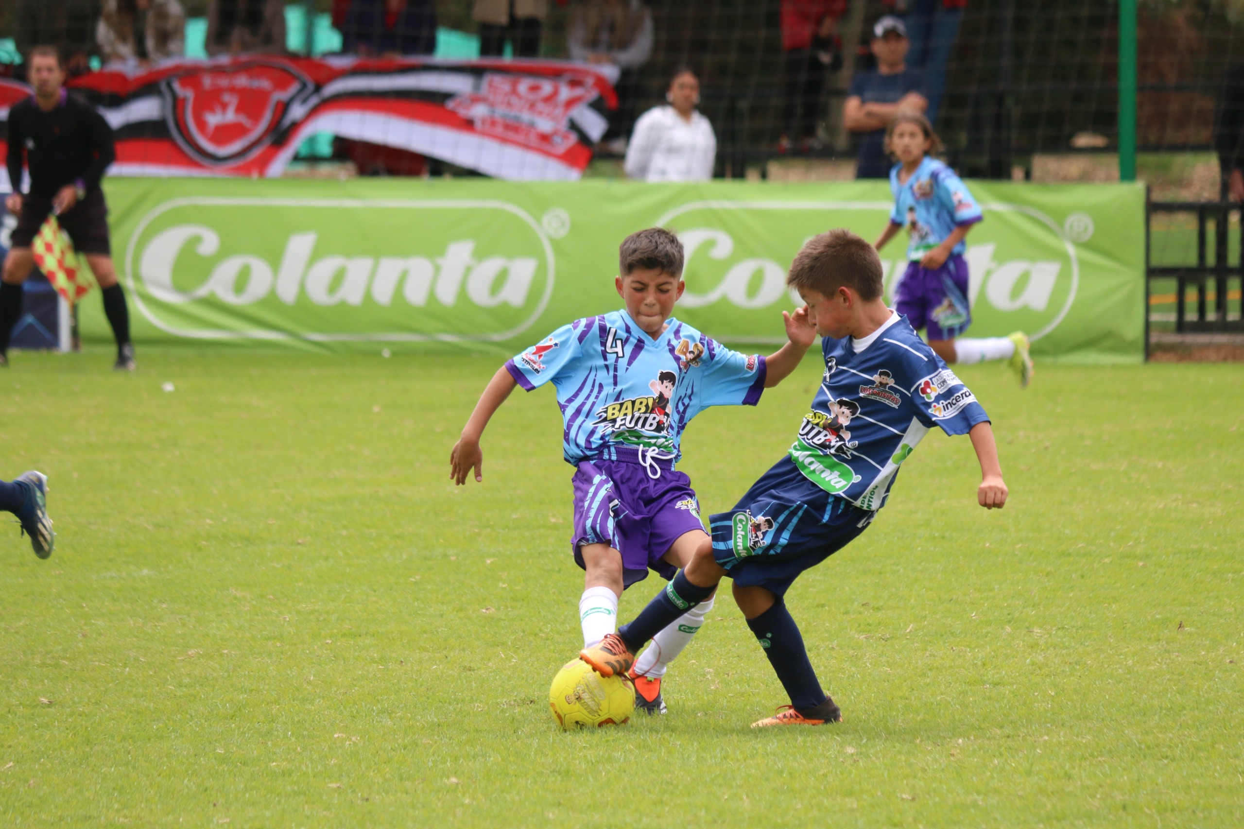 definidos-semifinales-babyfutbol-zonal-bogota-2024-2025