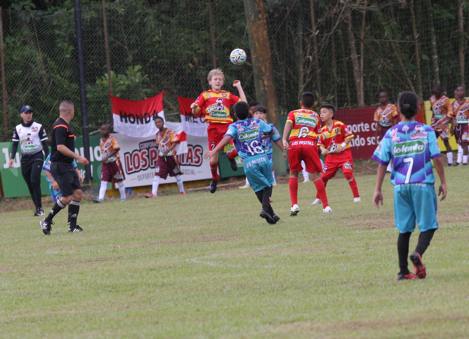 https://www.festivaldefestivales.com/wp-content/uploads/2024/09/comptencia-viterbo-babyfutbol-colanta.jpeg