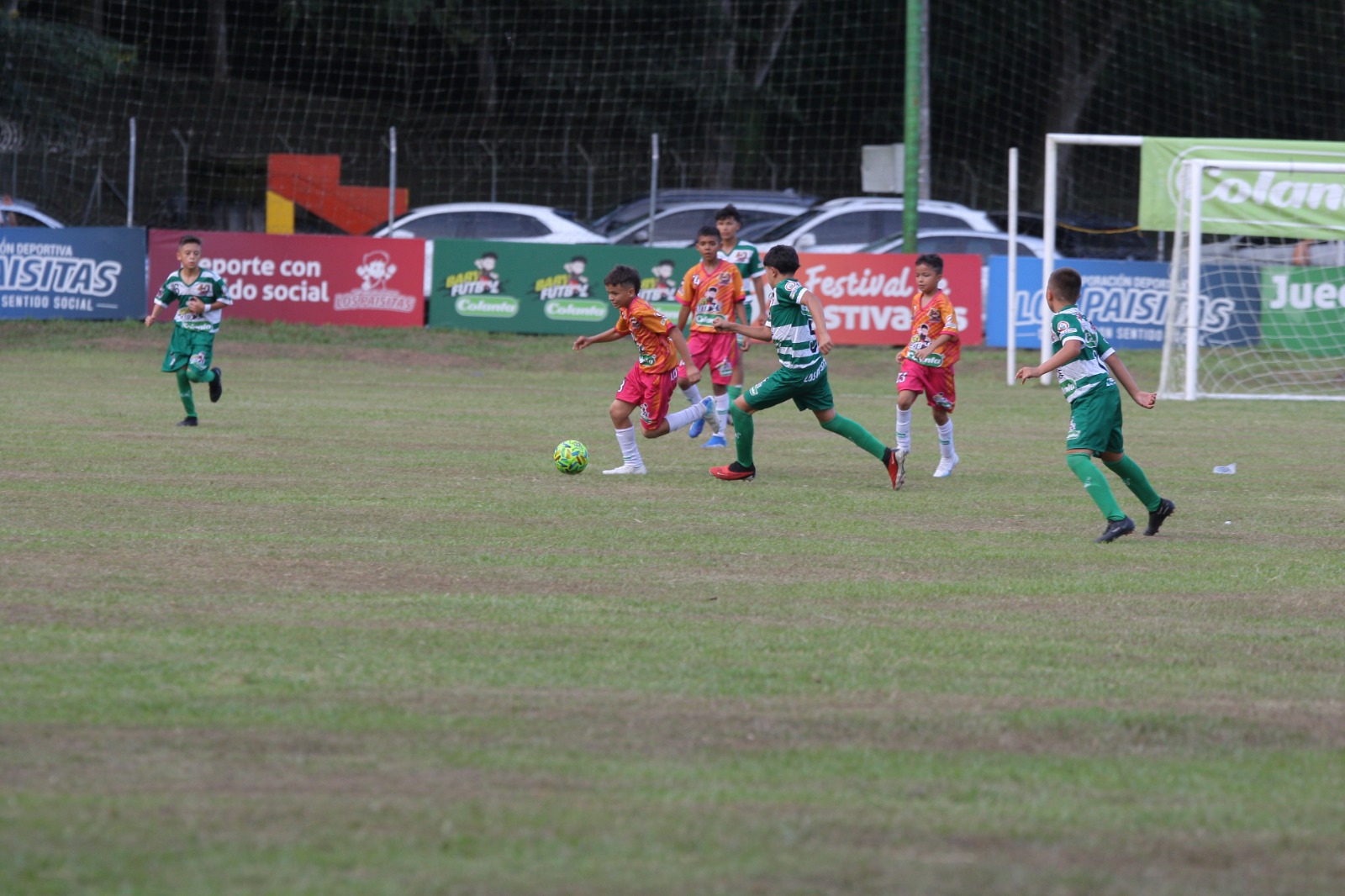 cuartos-de-final-babyfutbol-colanta-viterbo-2024-2025