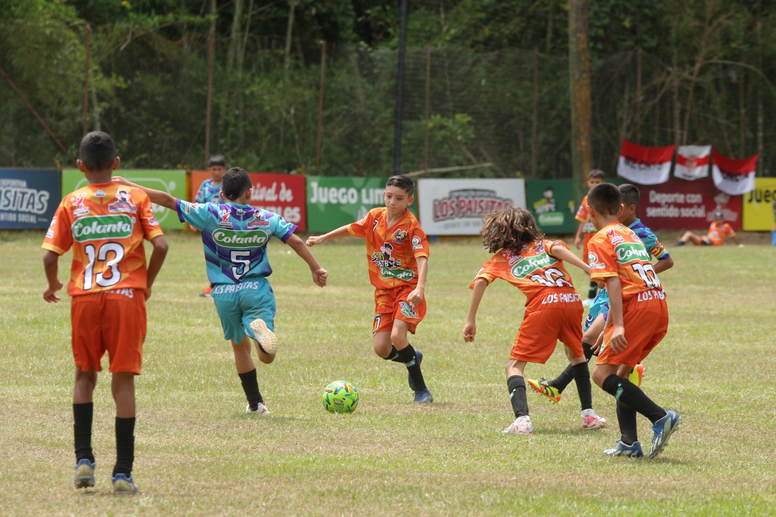 https://www.festivaldefestivales.com/wp-content/uploads/2024/09/finalistas-viterbo-babyfutbol-colanta-2024-2025.jpeg