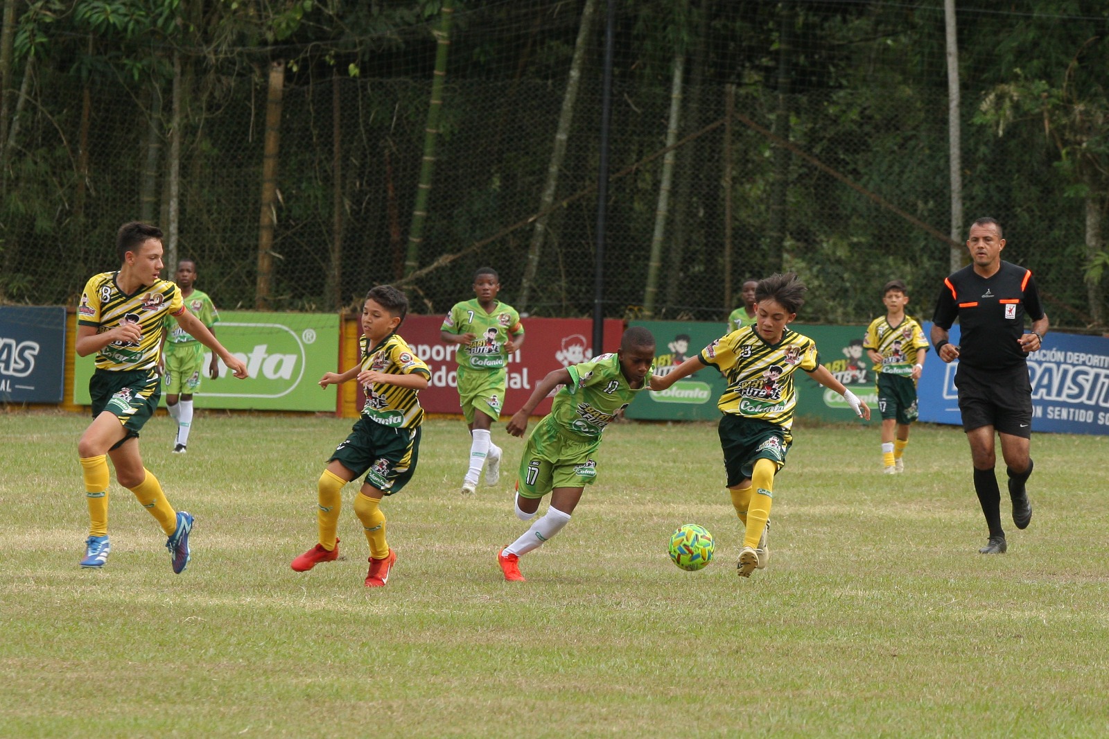 semifinalistas-viterbo-caldas-babyfutbol-colanta-2024-2025