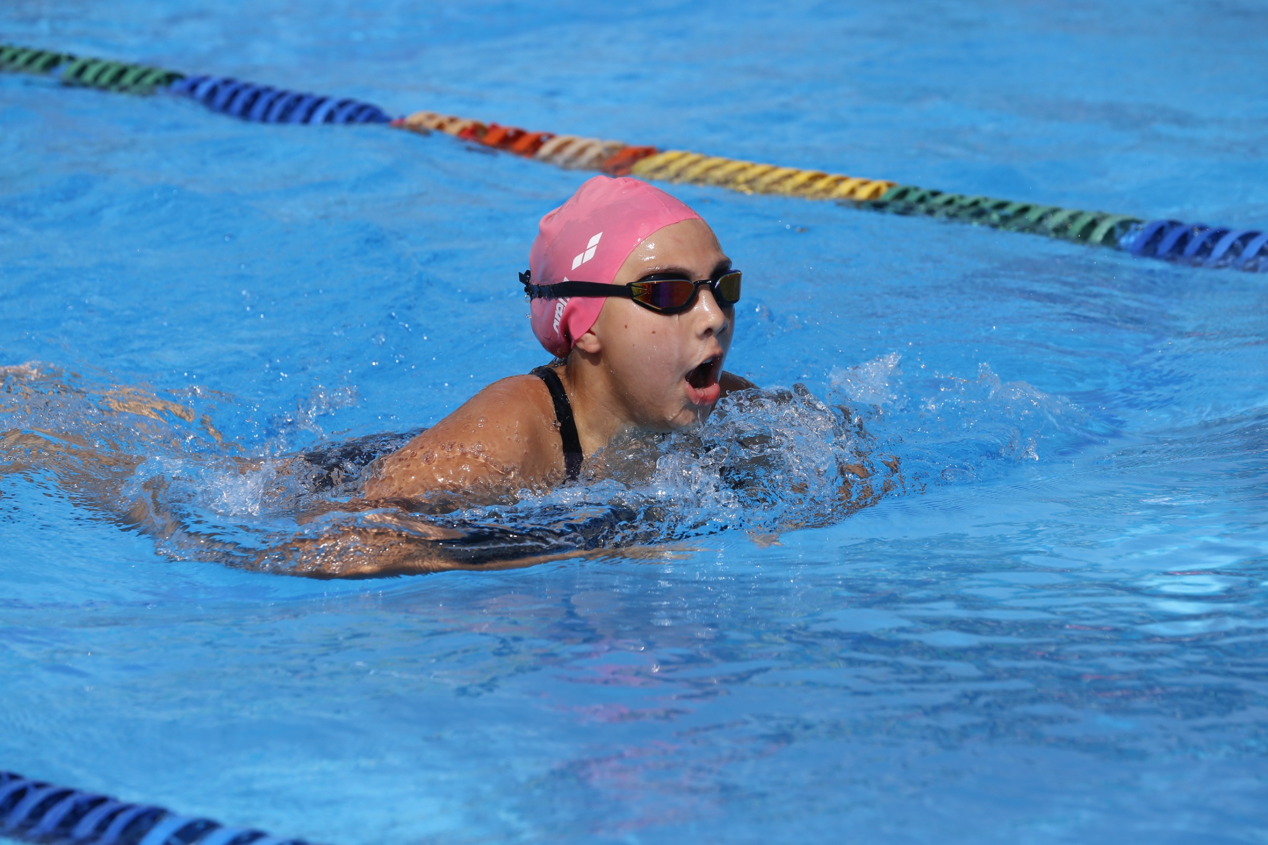 https://www.festivaldefestivales.com/wp-content/uploads/2024/10/babynatacion-inscripciones-2025.jpeg