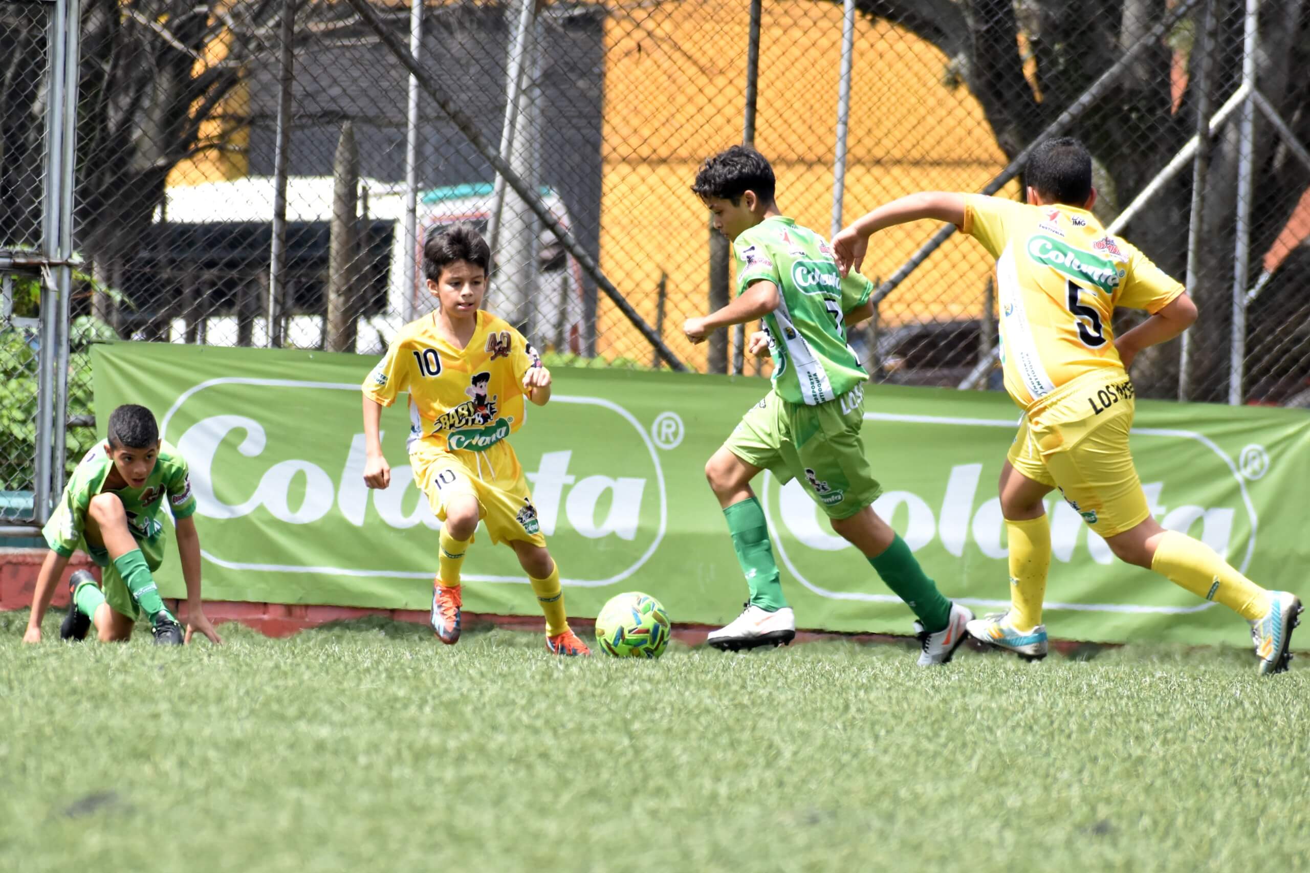 https://www.festivaldefestivales.com/wp-content/uploads/2024/11/cuatro-clasificados-babyfutbol-colanta-2024-2025.jpeg