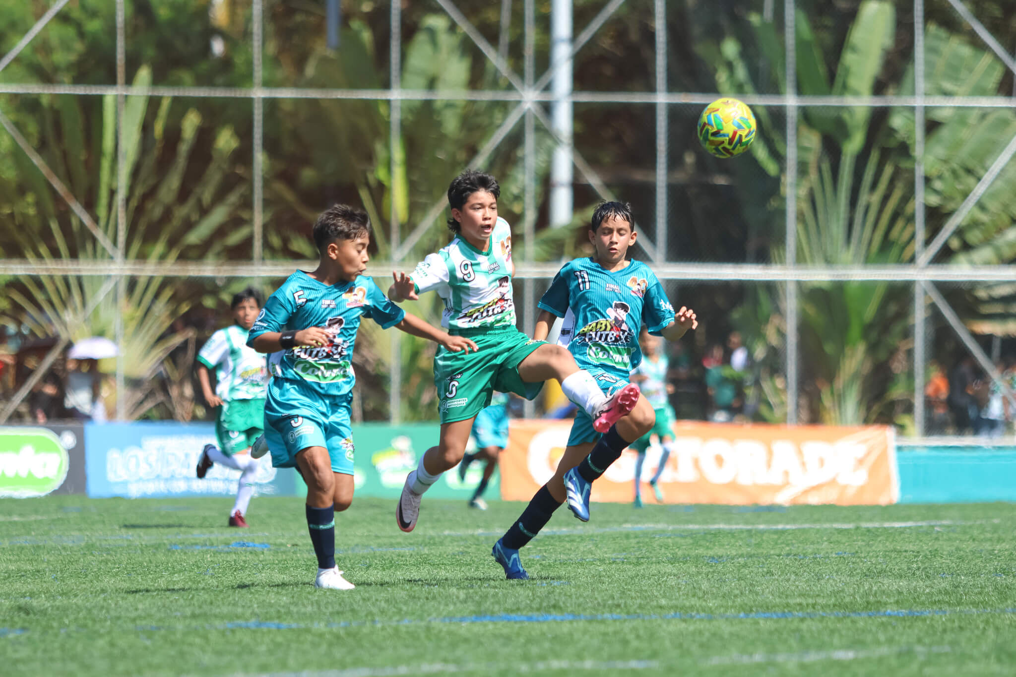 https://www.festivaldefestivales.com/wp-content/uploads/2025/02/convocatoria-babyfutbol-colanta-2025-2026.jpg