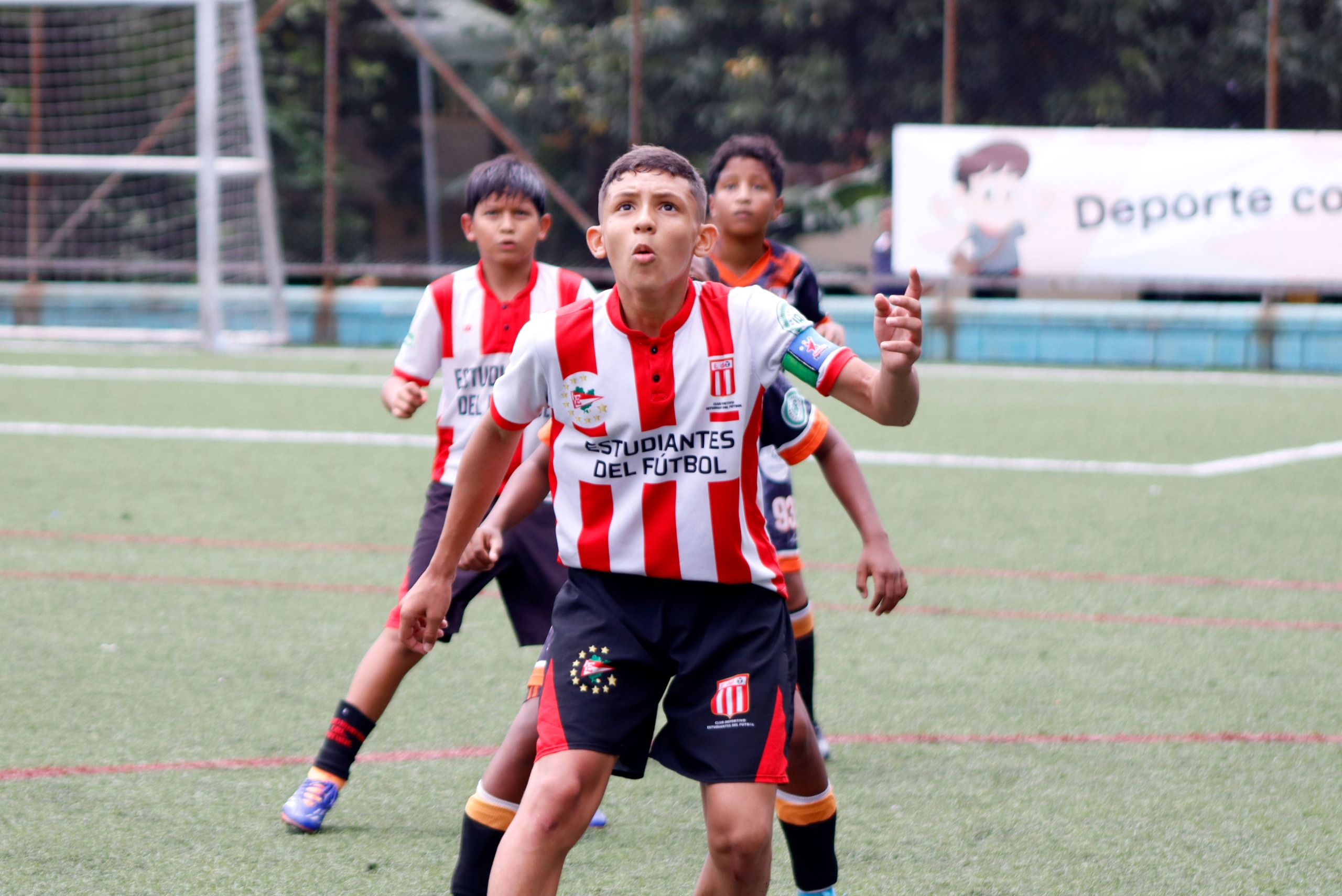 https://www.festivaldefestivales.com/wp-content/uploads/2025/05/definidos-clasificados-repechaje-a-preselectivo-babyfutbol-2025-2026.jpeg