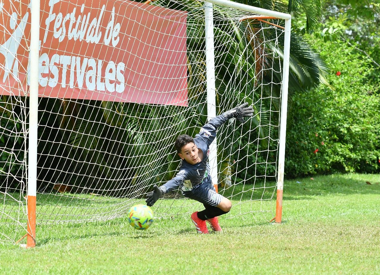 https://www.festivaldefestivales.com/wp-content/uploads/2025/06/cuartos-de-final-uraba-babyfutbol-colanta-2025-26.jpeg