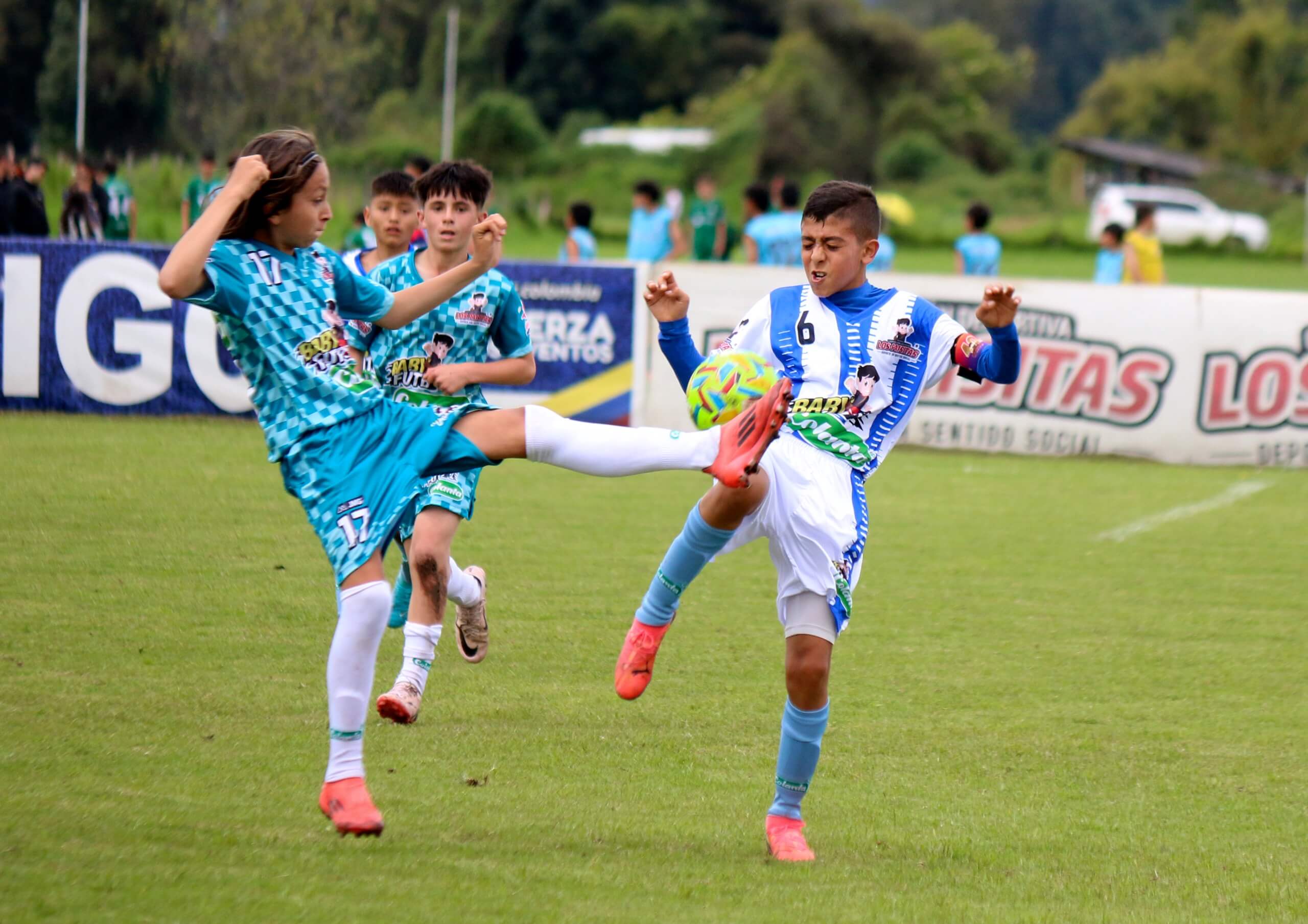 https://www.festivaldefestivales.com/wp-content/uploads/2025/06/debut-bogota-babyfutbol-colanta-2025-2026.jpeg
