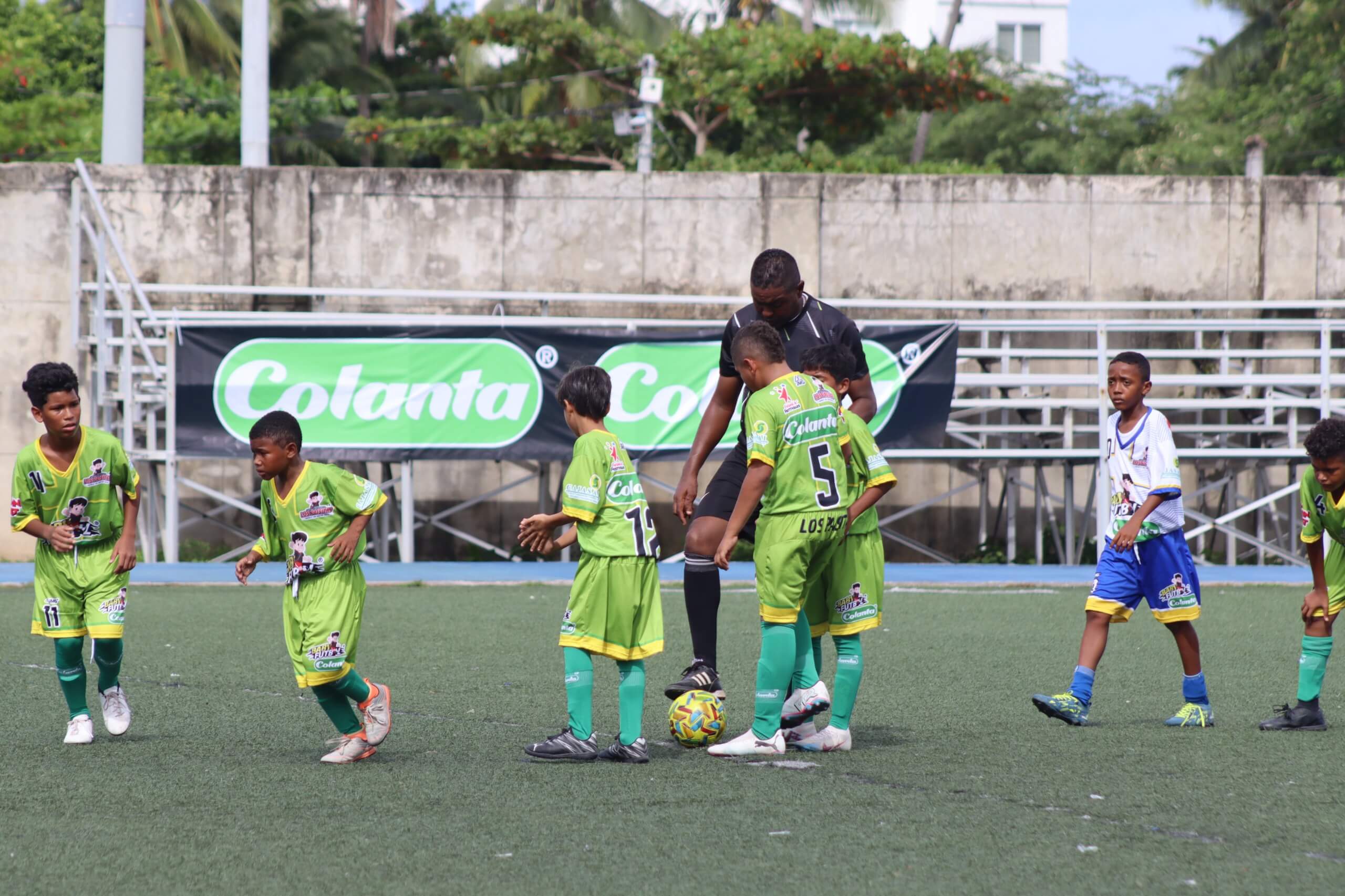 https://www.festivaldefestivales.com/wp-content/uploads/2025/06/sai-fin-fase-de-grupos-babyfutbol-colanta-2025-26.jpeg