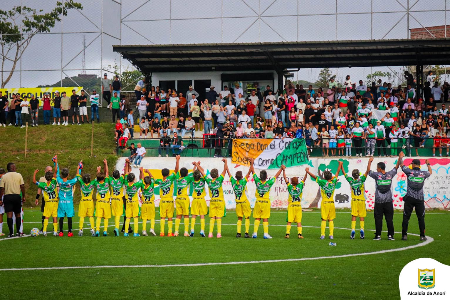 https://www.festivaldefestivales.com/wp-content/uploads/2025/07/babyfutbol-colanta-octavos-de-final-2025-2026-anori.jpg