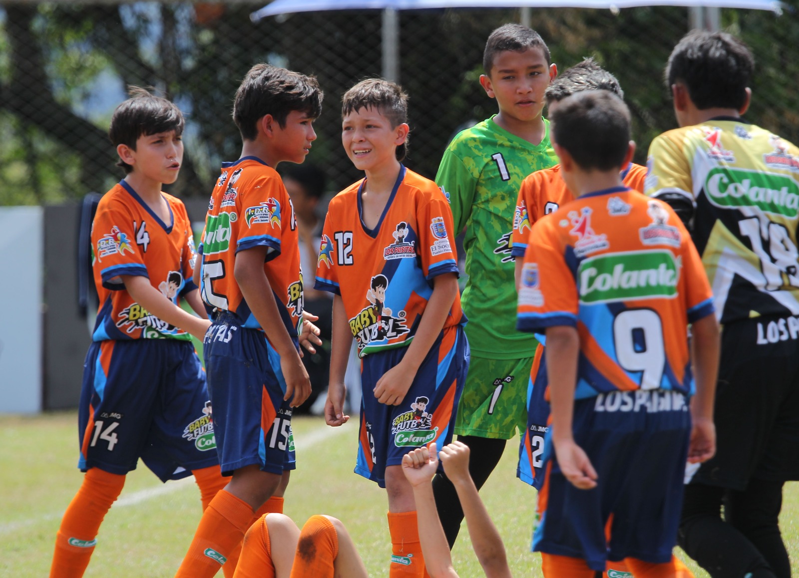 https://www.festivaldefestivales.com/wp-content/uploads/2025/08/se-aproximan-instancias-finales-babyfutbol-colanta-2025-2026.jpeg