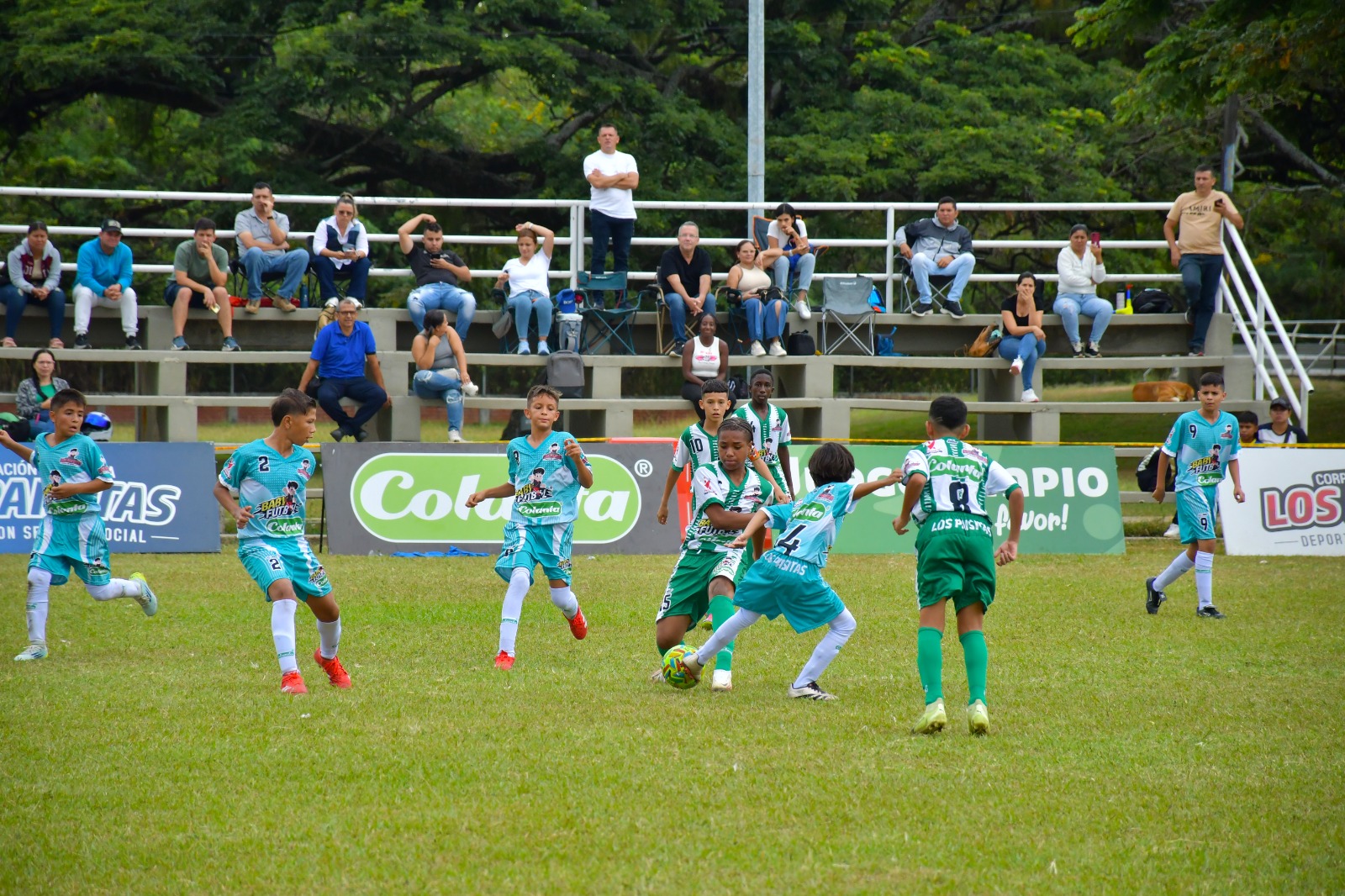 https://www.festivaldefestivales.com/wp-content/uploads/2025/09/4-fecha-palmira-babyfutbol-colanta-2025-2026.jpg