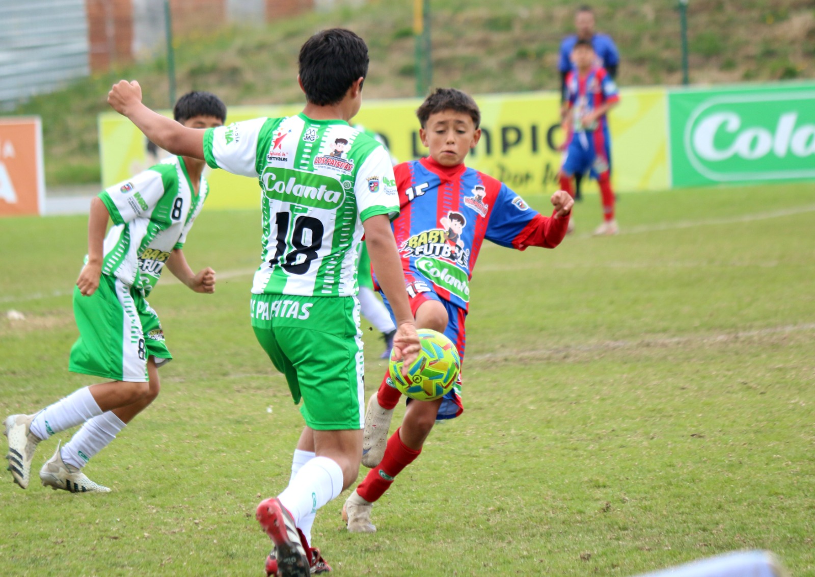 https://www.festivaldefestivales.com/wp-content/uploads/2025/10/finalistas-en-chia-cundinamarca-babyfutbol-colanta-2025-2026.jpg